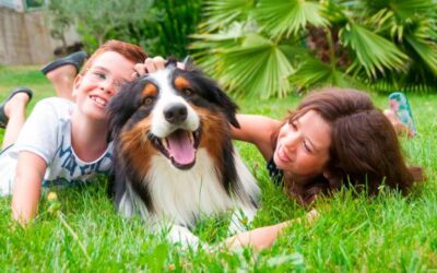 4 RECOMENDACIONES PARA QUE SU HIJO APROVECHE LA SEMANA DE RECESO