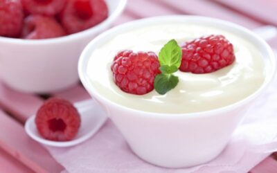 EL YOGURT: ALIADO EN LA CONSTRUCCIÓN DE HÁBITOS DE VIDA SALUDABLE