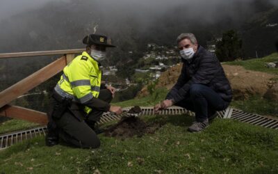 Por una Colombia mas verde  son 50 millones de árboles sembrados en el país