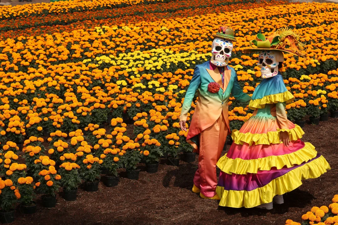 DESFILE MUERTOS