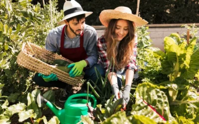 Colombia crece en verde con un 58% más de lanzamientos de alimentos a base de plantas en 2024