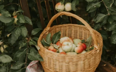 Manzanas Francesas: La alternativa saludable y sostenible para esta temporada festiva