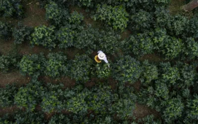 Juan Valdez se recertifica como Empresa B, reafirmando su compromiso con la generación de valor compartido y el desarrollo sostenible