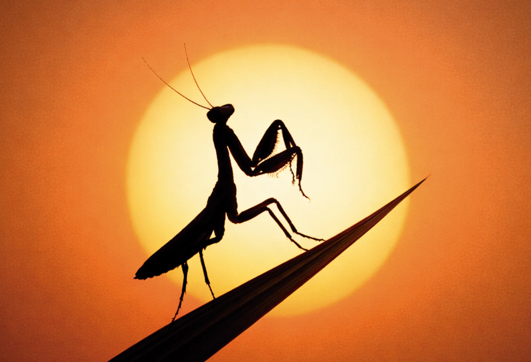 Greeicy y Cultura Profética 21