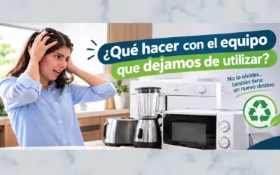 ¿Vas a cambiar tus electrodomésticos? Esto debería hacer con los antiguos
